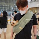 몰리스펫샵(스타필드 하남) 이미지