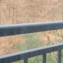 광교 에일린의 뜰 이미지