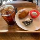 [부산/해운대] 모찌와 소금빵 맛집 카페드크래프트베이커리 해운대미포점 후기