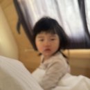 김포한강오토캠핑장 | 김포한강오토캠핑장 카라반 아이랑 다녀온 후기