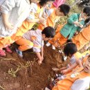 도림농장 이미지