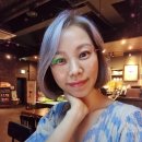 헬시플래너