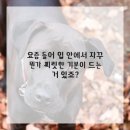 소중한이치과의원 이미지