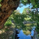 광양공용버스터미널 이미지