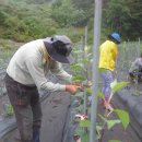 유인목장 이미지