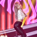하니네 이미지