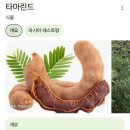 효성노인문화센터 앞(교통섬) | 🇮🇩250130 인도네시아 12 #마나도 12 #부나켄 에서 마나도, Istanaku 게스트하우스, 술라웨시 박물관...