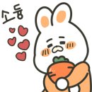 둥글동글베이커리 이미지