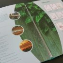 보광 주식회사 이미지