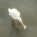 동우화인켐(주) 기숙사 A지구 | 2025년이 저번주같은데 벌써 2026년이네