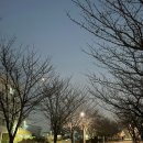 오케리아치킨 이미지