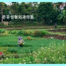 온유성형외과의원