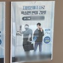 토마토헤어크리닉 | 인천 비만클리닉 팔뚝지방분해주사 3회차 후기