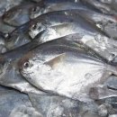 남해꽃게탕 이미지