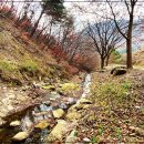 맑은물펜션민박 이미지