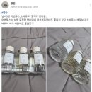 블루밍샾 | 코봉살롱 수제향수 리스트