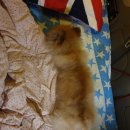 컨츄리노래연습장 이미지