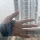 시립배곧한라3차어린이집 | 배곧 아파트유리창청소 한라비발디 다섯번째 창문청소 후기