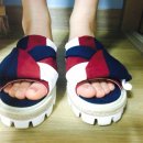 보니즈 이미지