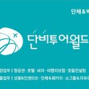 단비투어월드 이미지