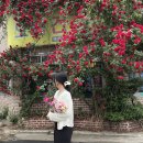 오복건강원 이미지