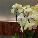 노엘비지니스호텔 이미지