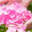 우아한 노후를 위한 품격있는 대화 이미지