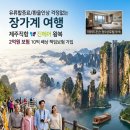 제주투어시대 Daum카페