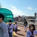 신월익스트림태권도 이미지