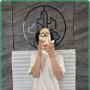 어반케어 이미지