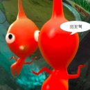 모터스벨리 토탈카 | Wedding 1-4 ꔫ우리의 베뉴를 찾아서 [ICT밸리컨벤션]