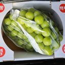 손가네 농장 이미지