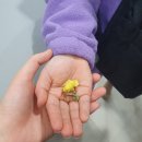 어린음악대아라원음악학원 이미지