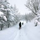 삼만목장 이미지