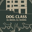 독클래스 이미지