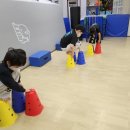 라이온 합기도 이미지