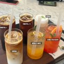 로찌 이미지