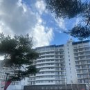 황금대박게임장 | [태안] 안면도 아일랜드 리솜 리조트의 모든것 (엄돈엄산 리뷰 💳 )