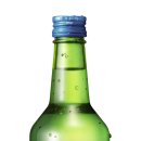 천년애
