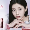 피그 패밀리 이미지