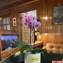 갓길당구클럽 이미지