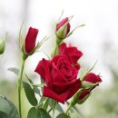 건강한생활 이미지