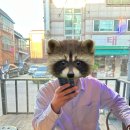 교리 2 공간A남자경로당 | [공지] 짧고 굵게 맛보고 온 1박 2일 강릉 맛집 코스_강릉중앙시장 (주차), 강릉닭강정 (웨이팅...