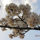 대청고등학교 정문 이미지