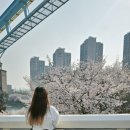 아이월드 마포센터 | &lt;서울 여행&gt; 롯데월드 포켓몬/연남 마음센터/홍대 물고기 인생 네 컷까지