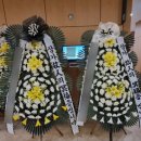 대전보훈병원 이미지