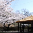 화원동산 주차장 이미지