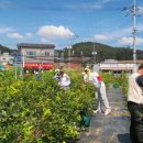 프로농장 이미지