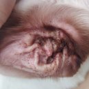 다나음동물병원 이미지