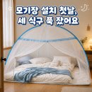 알뜨리 | 알뜨리 야광 원터치 모기장 후기｜블루 특대 첫날, 세 식구 푹 잤어요